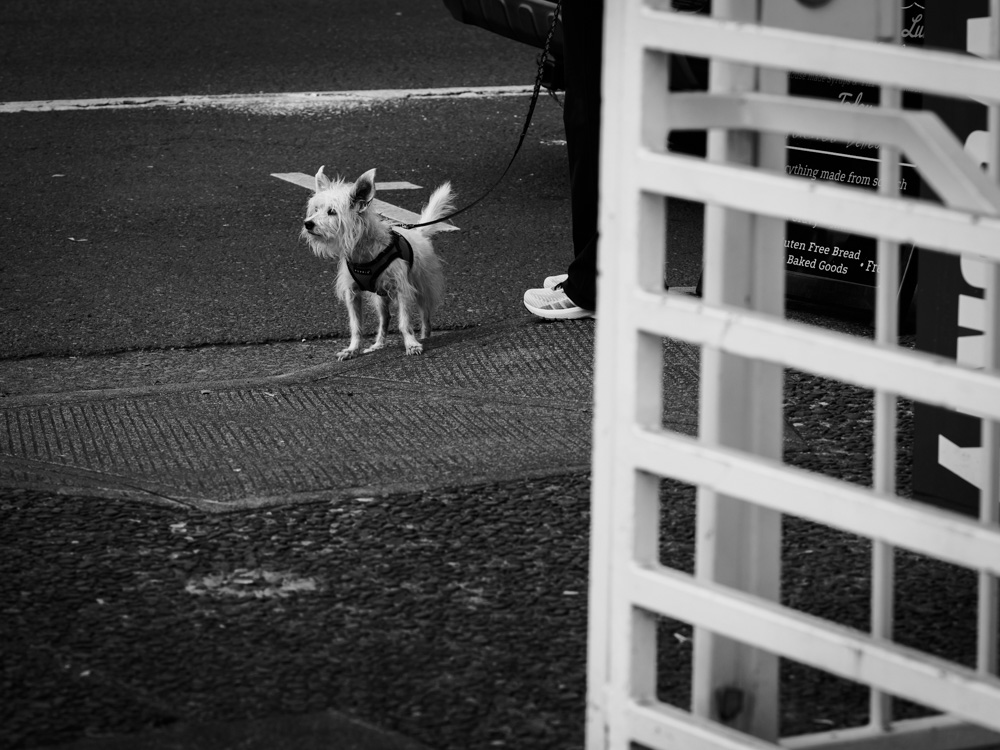 Street Photography by Cliff Etzel