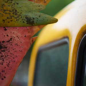 A Colorful Start Fine Art Print - Photo by Cliff Etzel