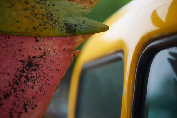 A Colorful Start Fine Art Print A Colorful Start Fine Art Print - Photo by Cliff Etzel