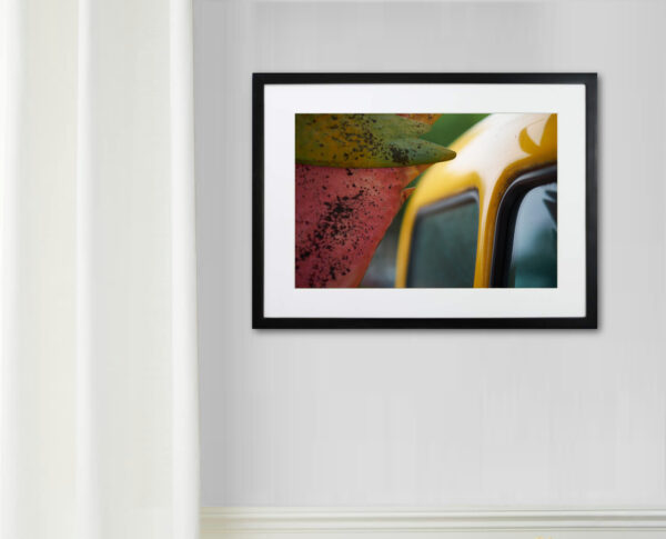 Wall Example - A Colorful Start