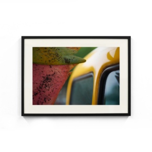 A Colorful Start - Framed Fine Art Print Example - photo by Cliff Etzel
